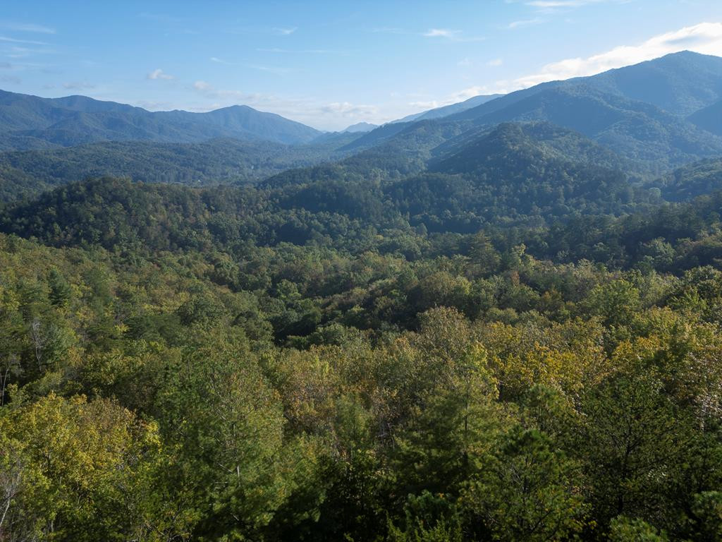 1316 Junaluska Road