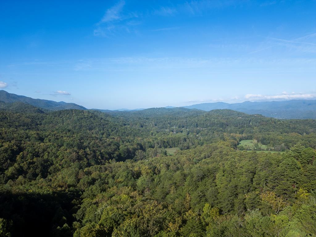 1316 Junaluska Road