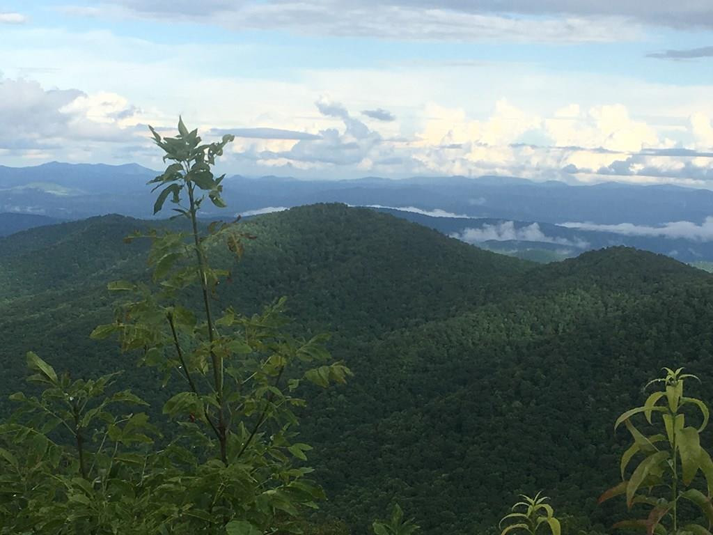0 Burrell Mountain Road