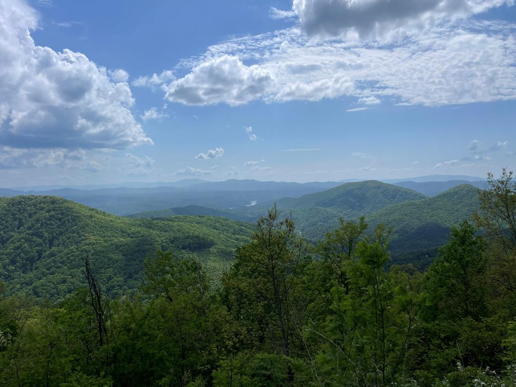 0 Burrell Mountain Road