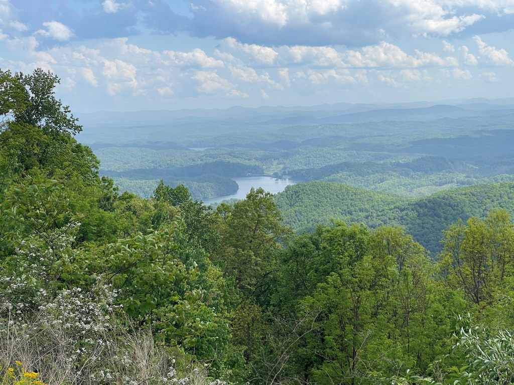 0 Burrell Mountain Road