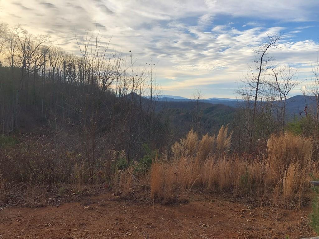 0 Burrell Mountain Road
