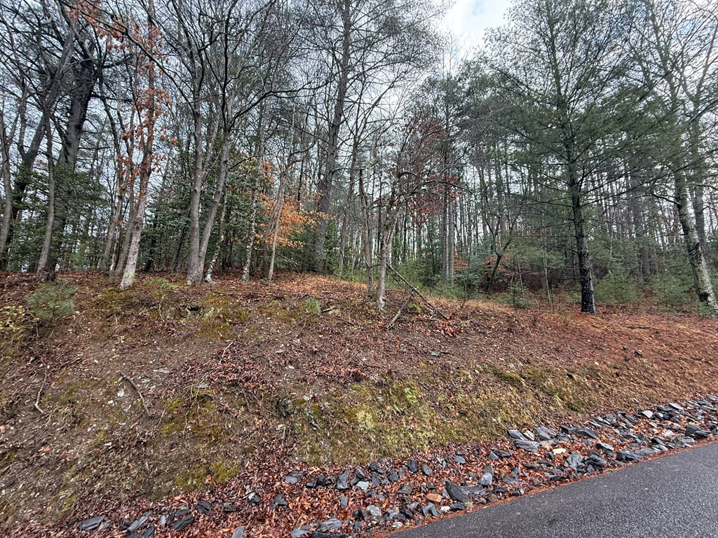 0 Stone Brook Drive
