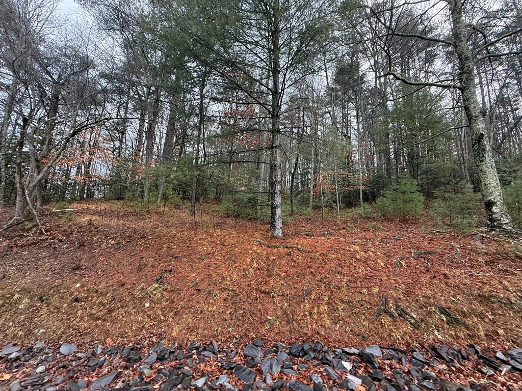 0 Stone Brook Drive