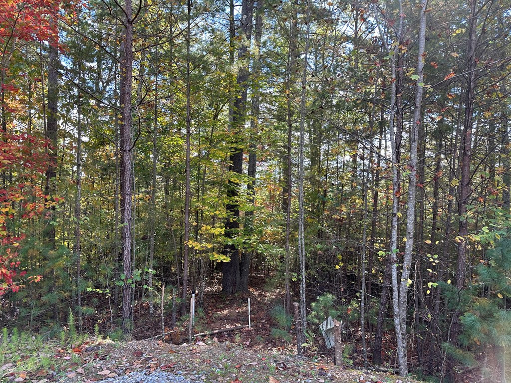 Lot 15 Doe Trail