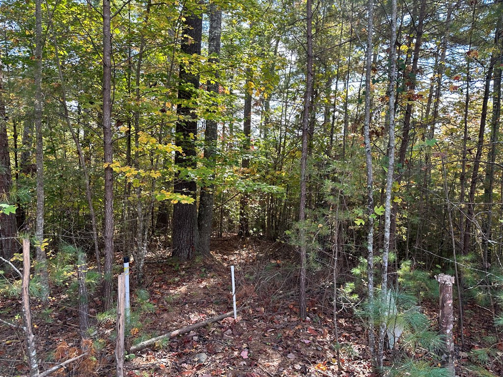 Lot 15 Doe Trail
