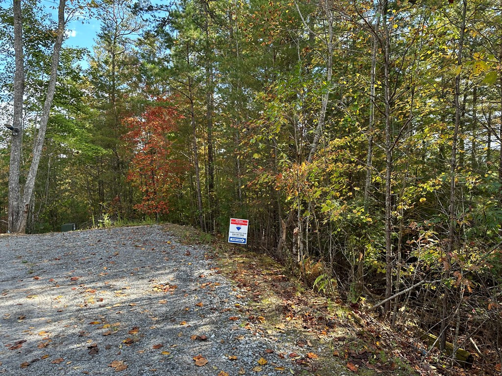 Lot 15 Doe Trail