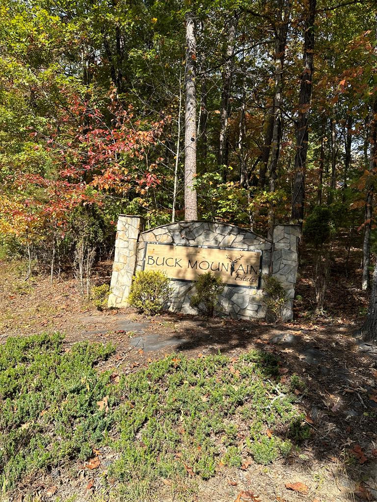 Lot 15 Doe Trail