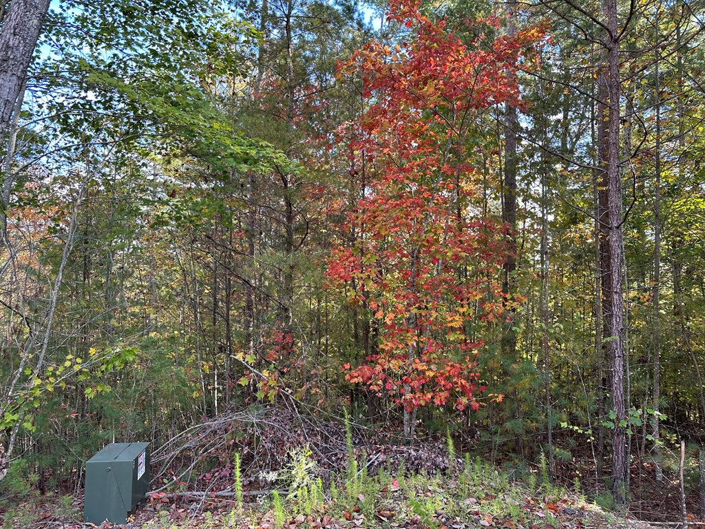 Lot 15 Doe Trail