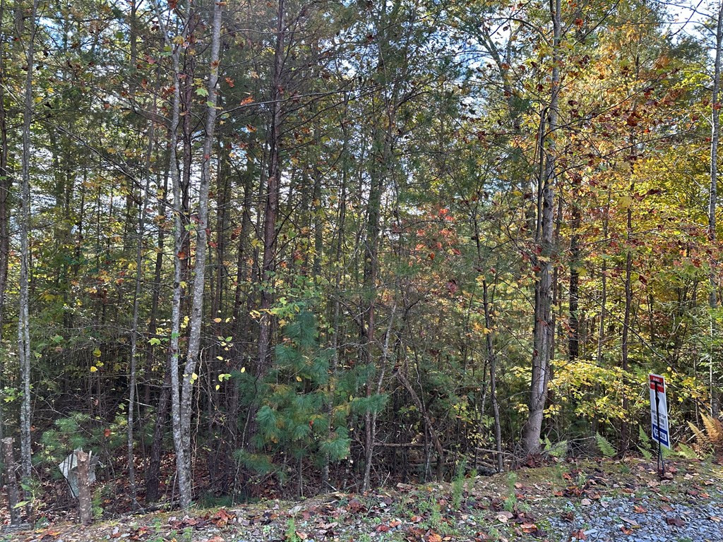Lot 15 Doe Trail