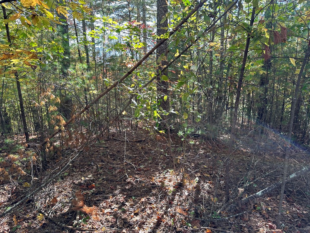 Lot 15 Doe Trail