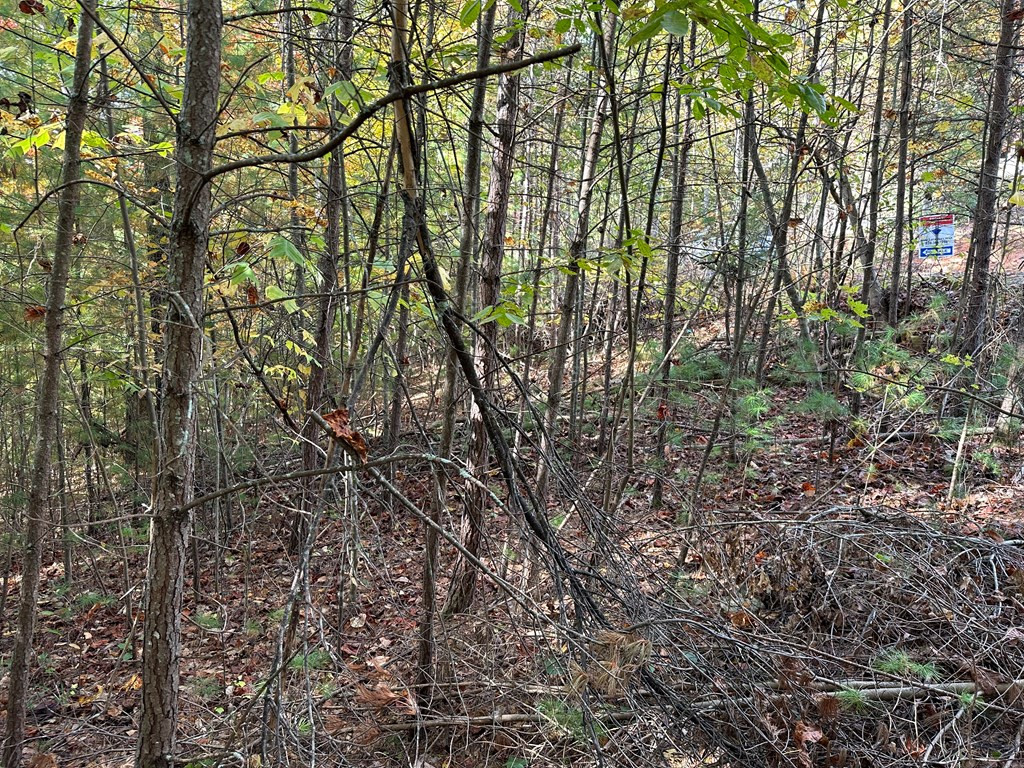 Lot 15 Doe Trail