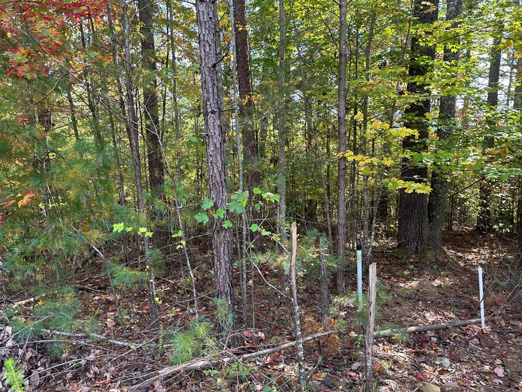 Lot 15 Doe Trail