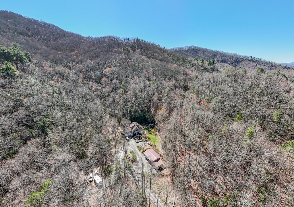 420 Dinkins Creek