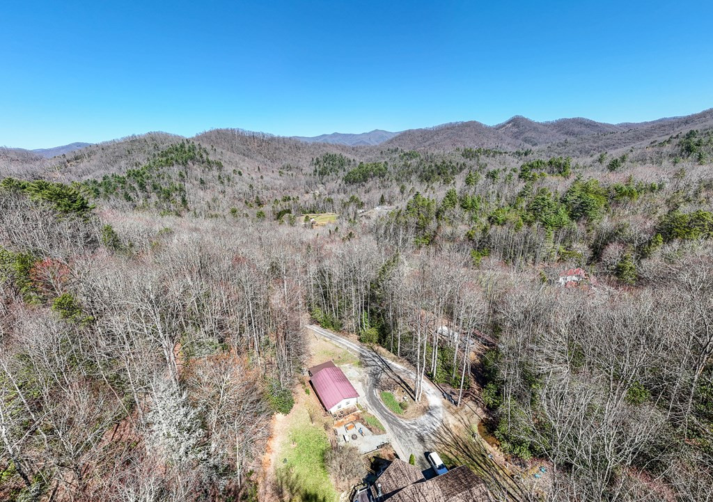 420 Dinkins Creek