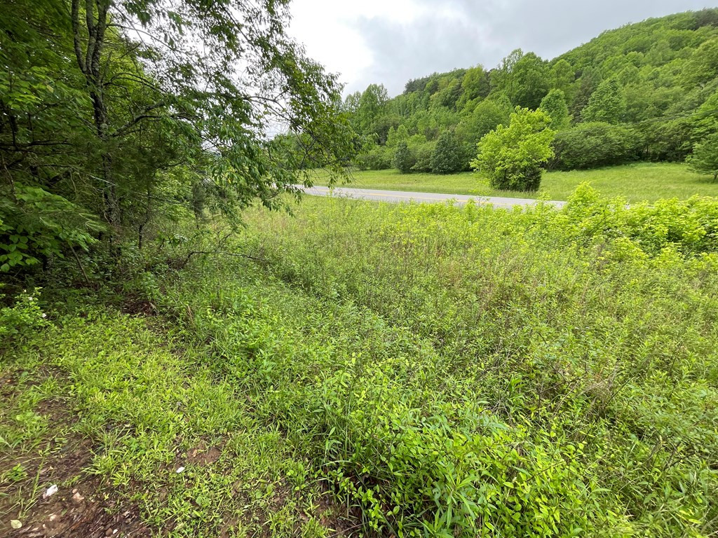 8236 NC Highway 294