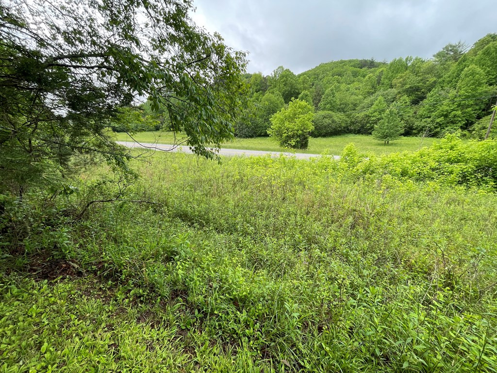 8236 NC Highway 294
