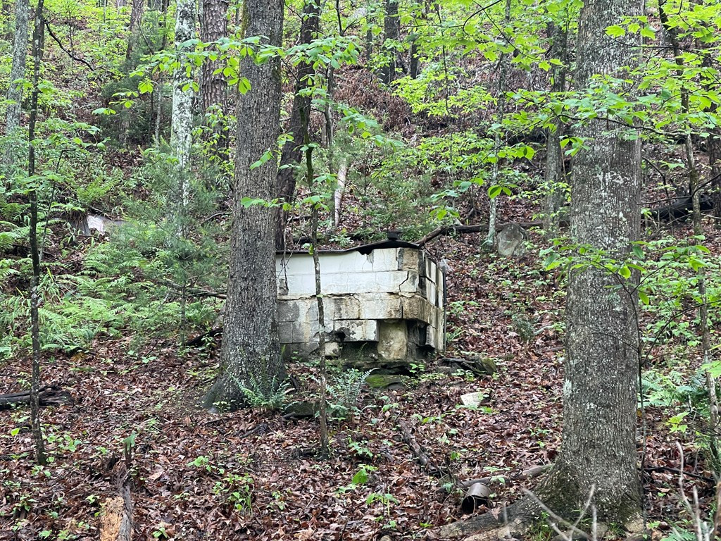 8236 NC Highway 294