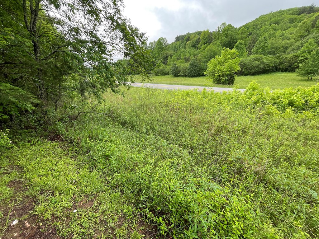 8236 NC Highway 294