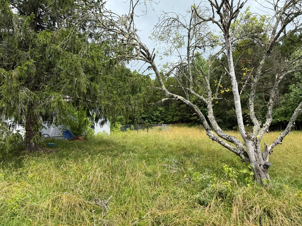 478 Little Ranger Road