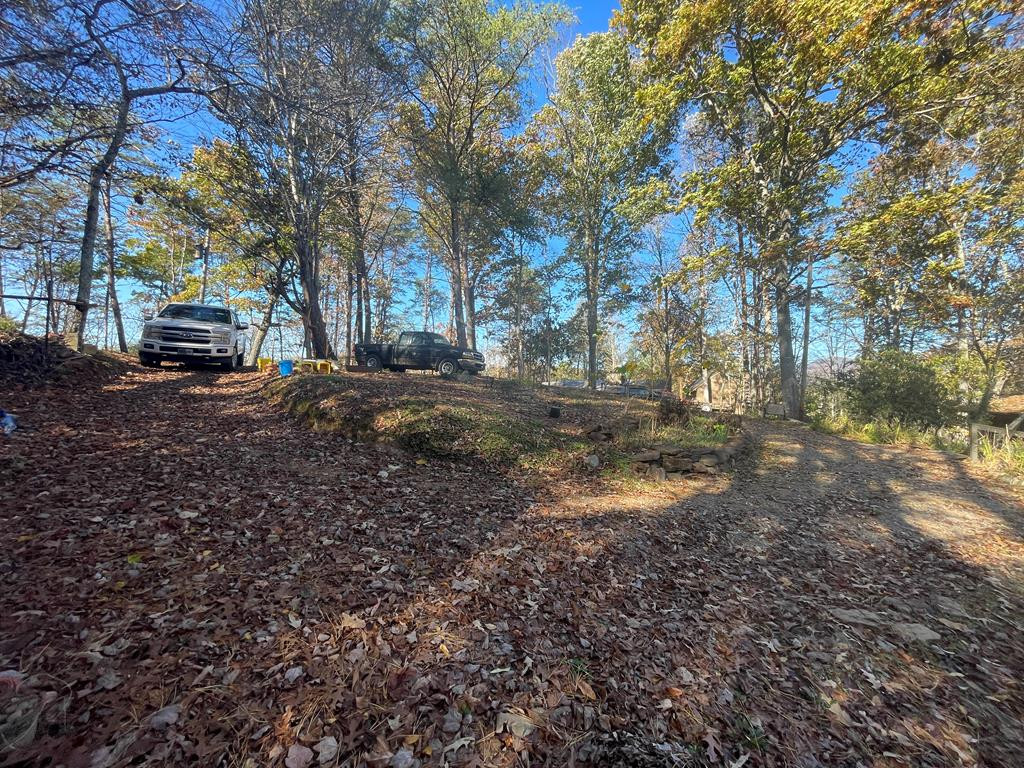 103 Ponderosa Drive