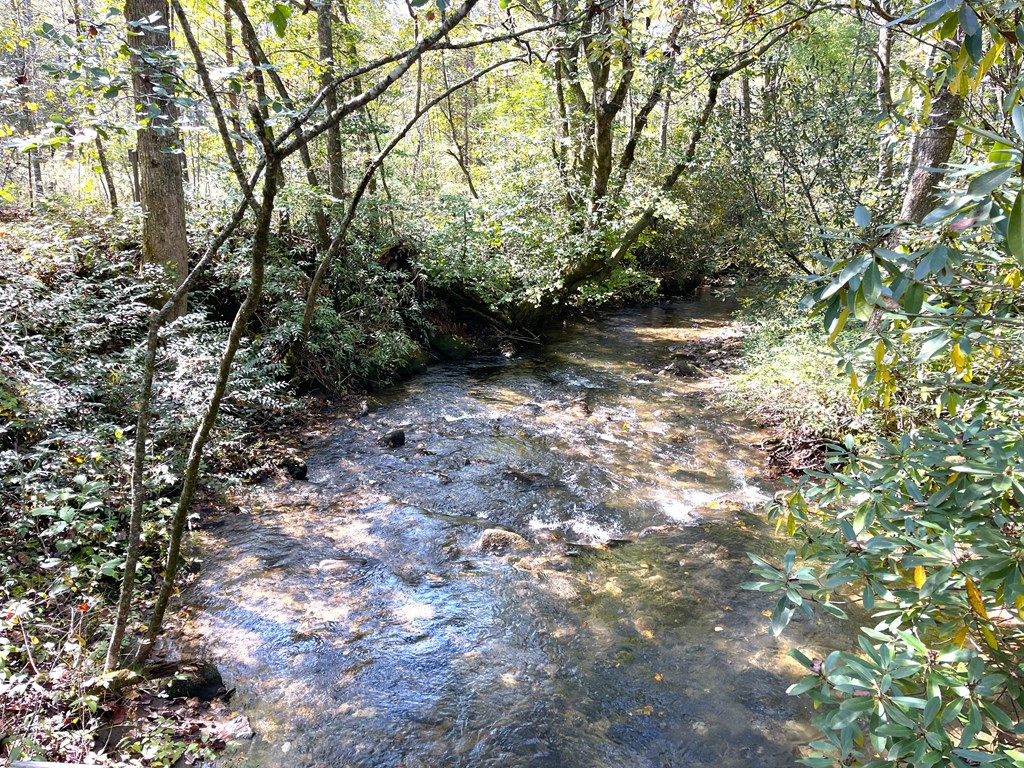1635 Davis Creek Road
