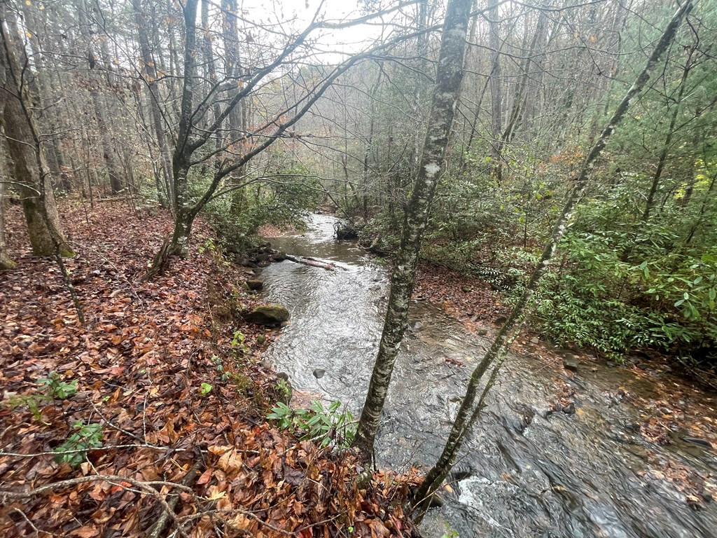 1635 Davis Creek Road