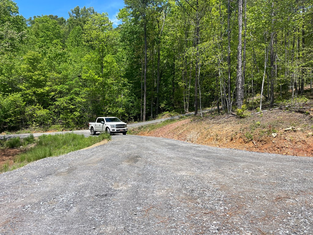 60 Lazy Creek Lane