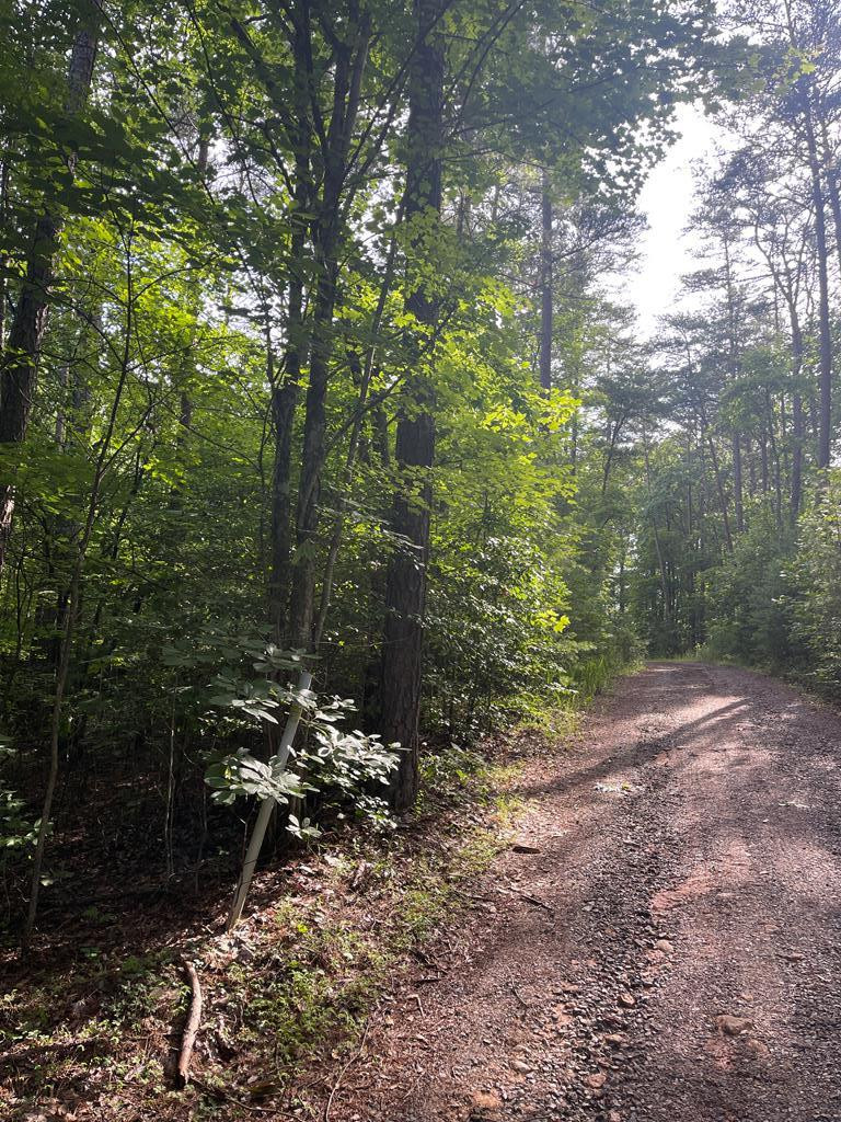 Lot 5 Sherwood Forest