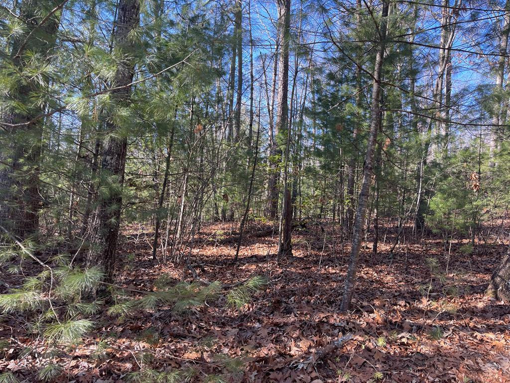 Lot 5 Sherwood Forest