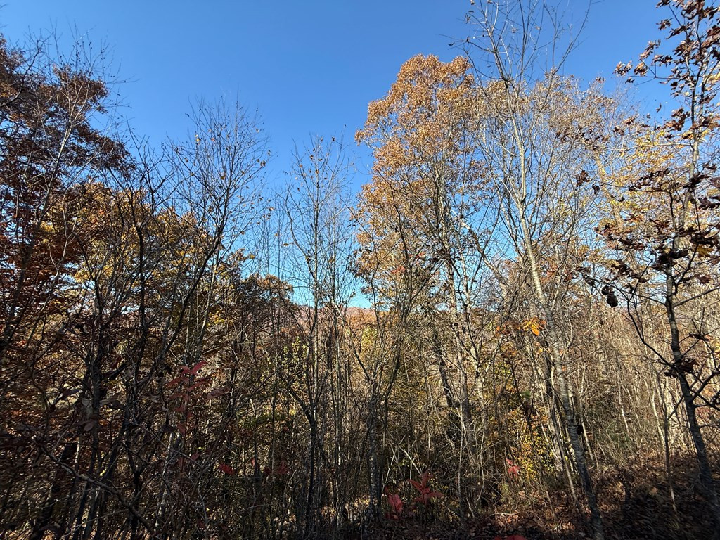 0 Summit Ridge Trail