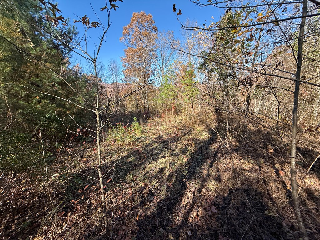 0 Summit Ridge Trail