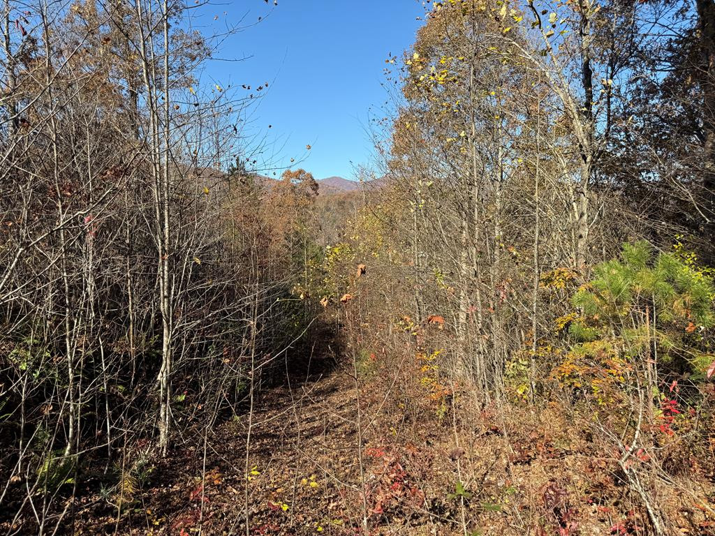 0 Summit Ridge Trail