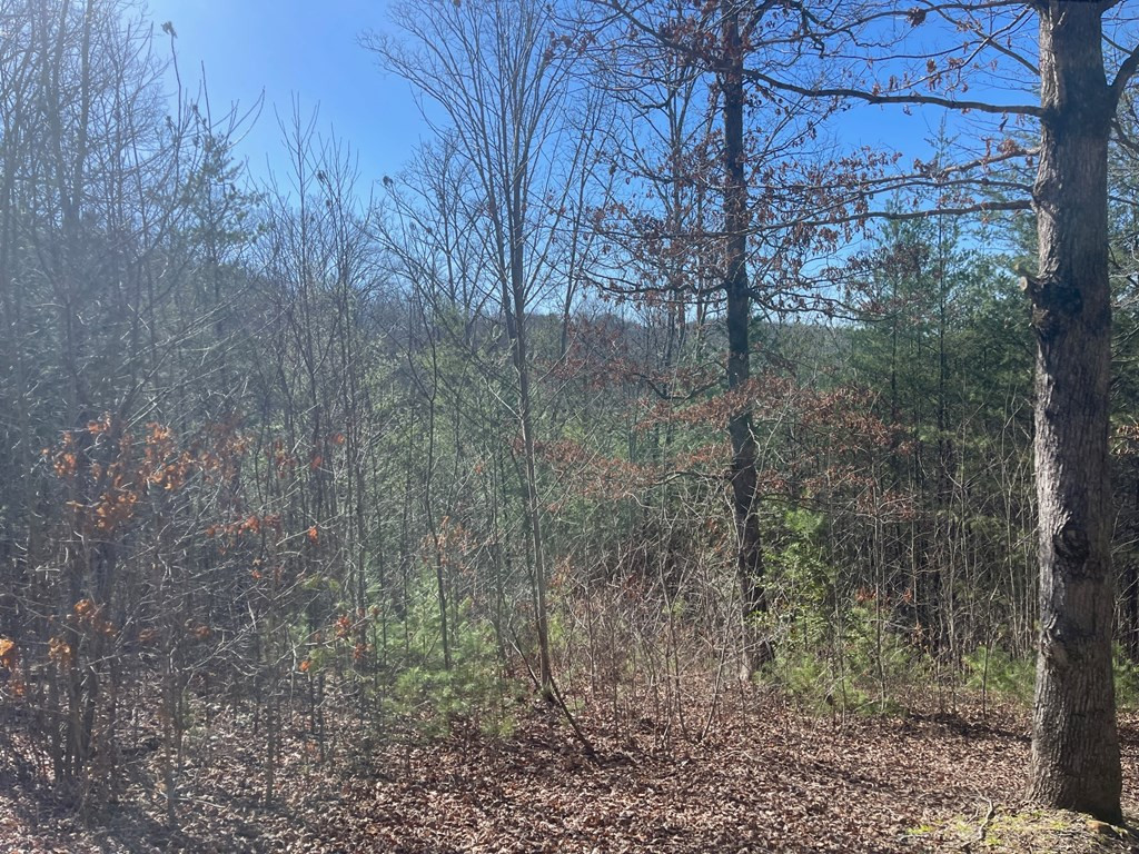 00 Confederate Circle