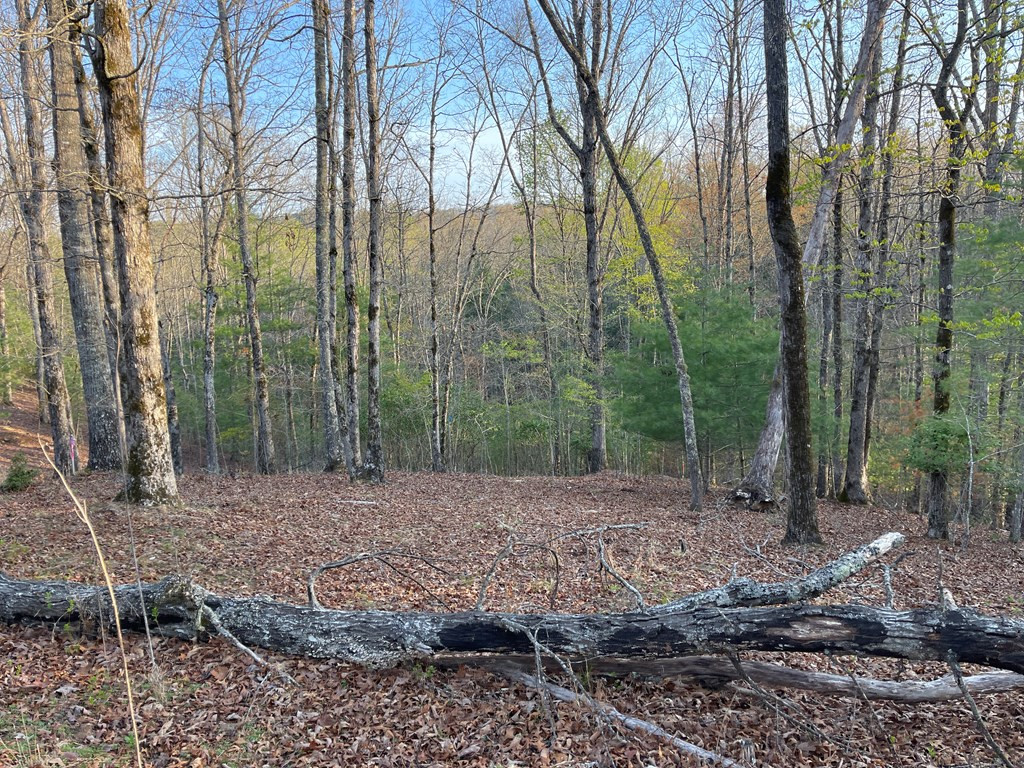 0 Short Oak Run