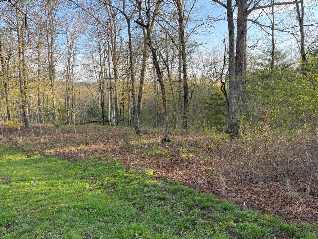 0 Short Oak Run