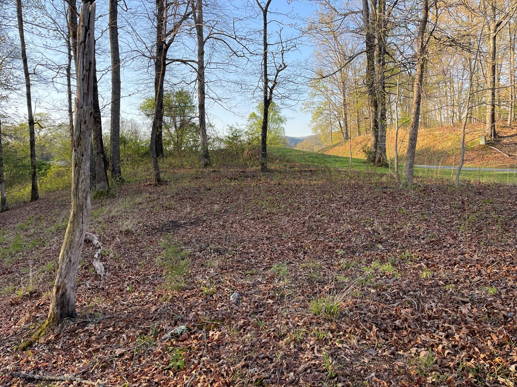 0 Short Oak Run