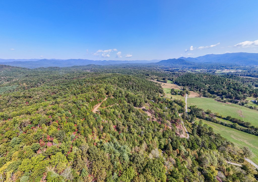 000 Mistletoe Ridge