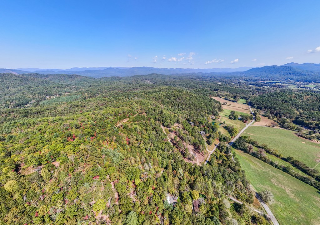 000 Mistletoe Ridge