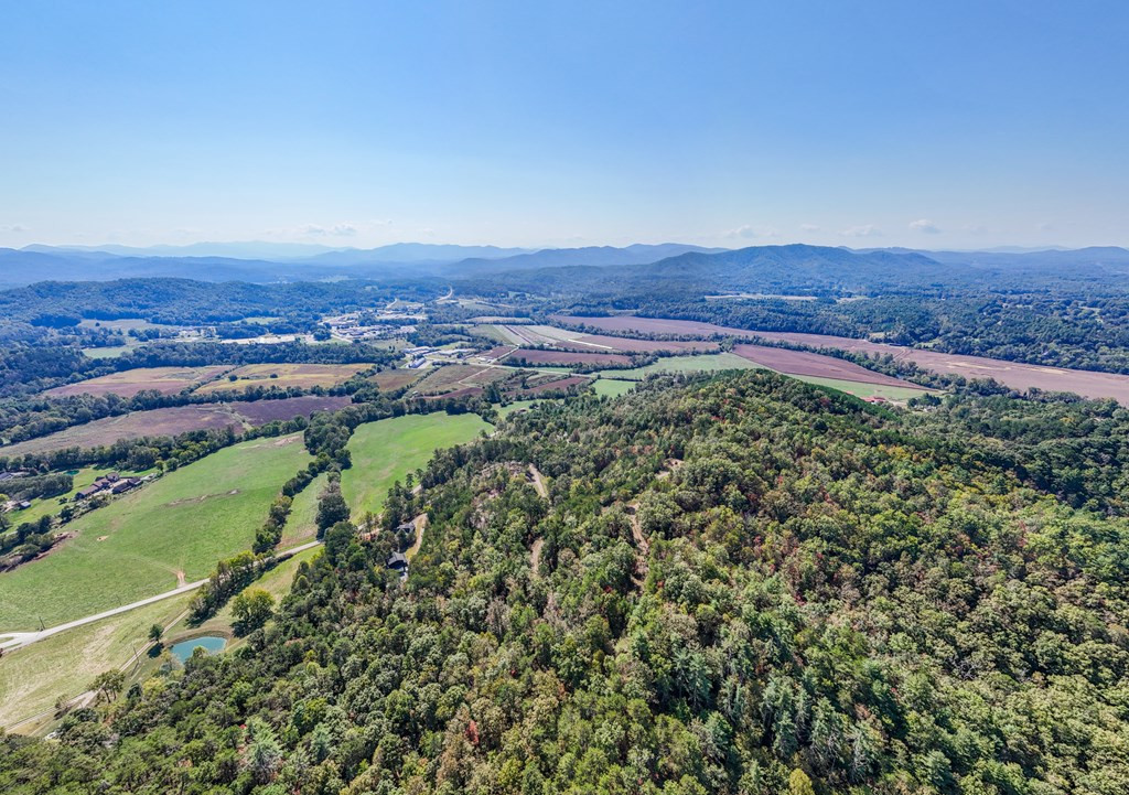 000 Mistletoe Ridge