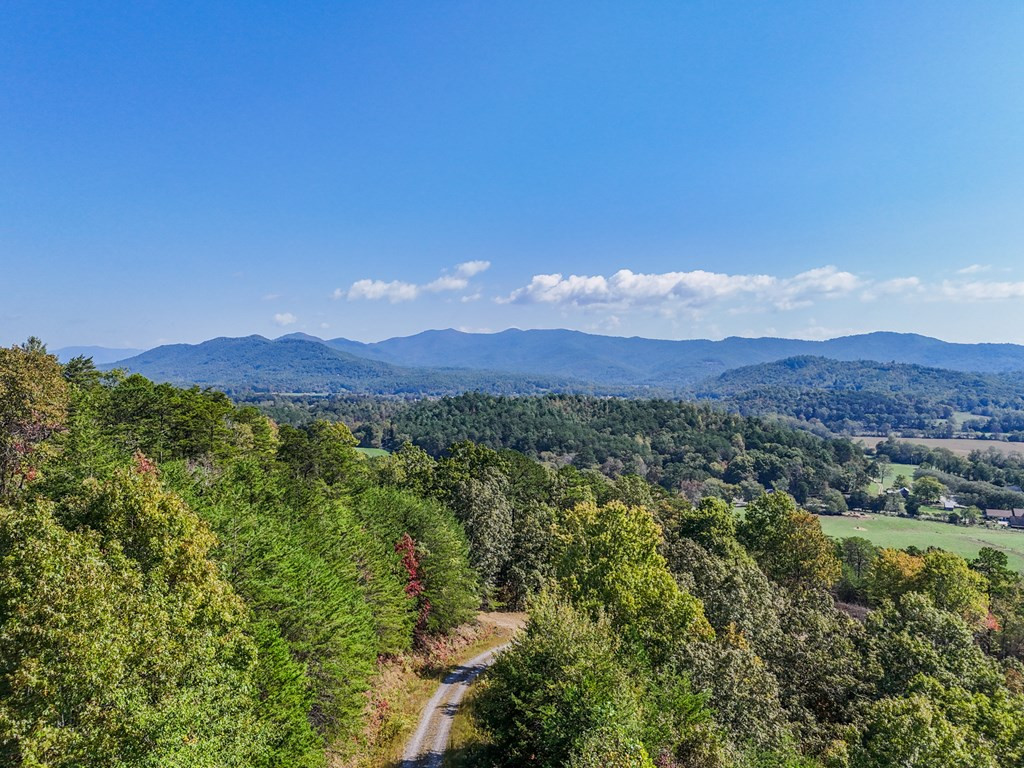 000 Mistletoe Ridge