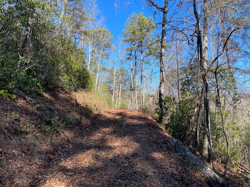 000 Mistletoe Ridge