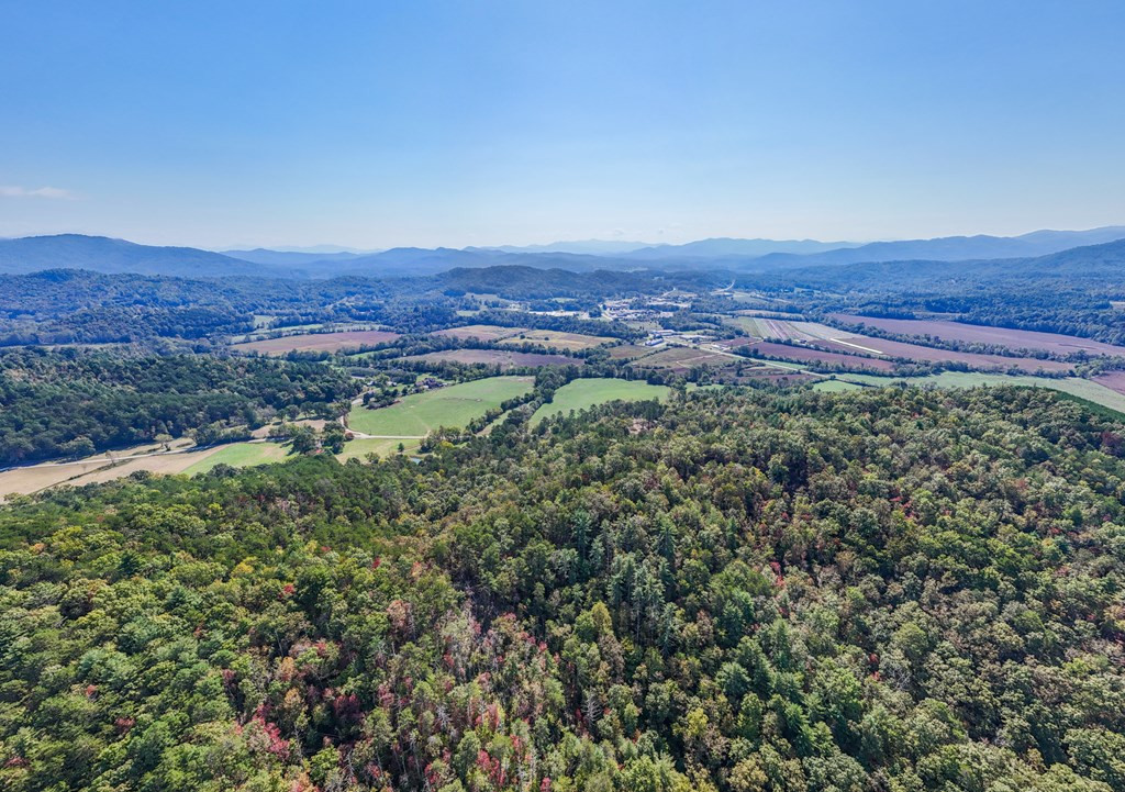 000 Mistletoe Ridge