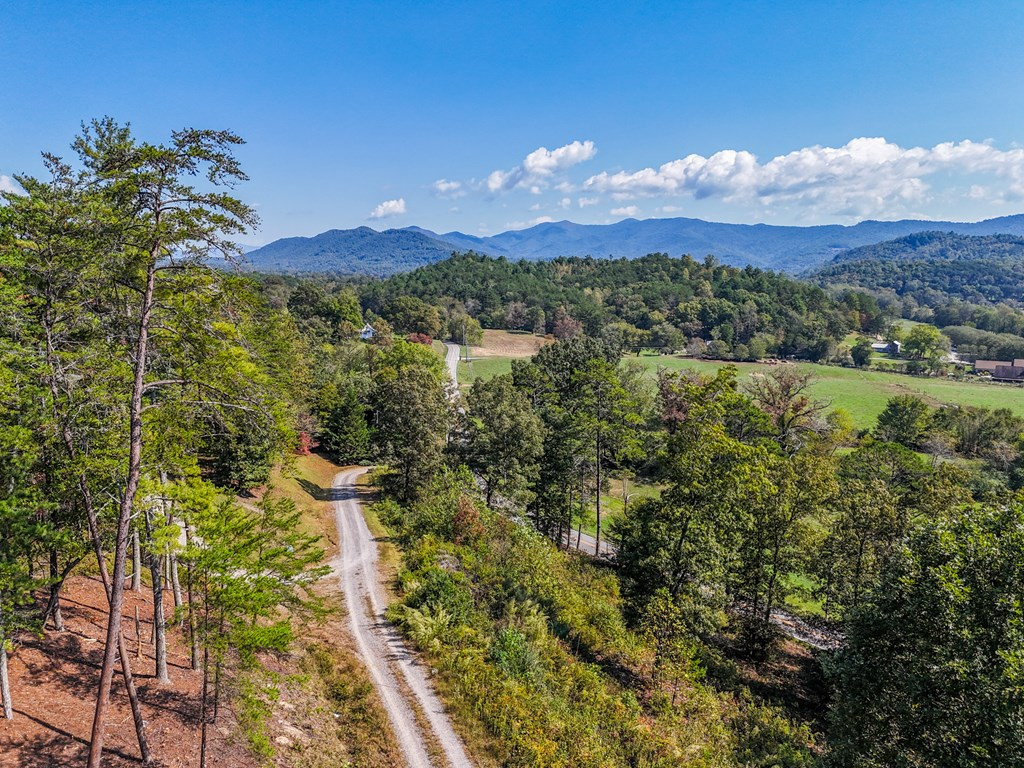 000 Mistletoe Ridge