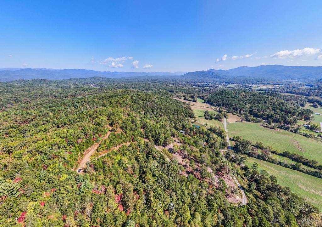000 Mistletoe Ridge