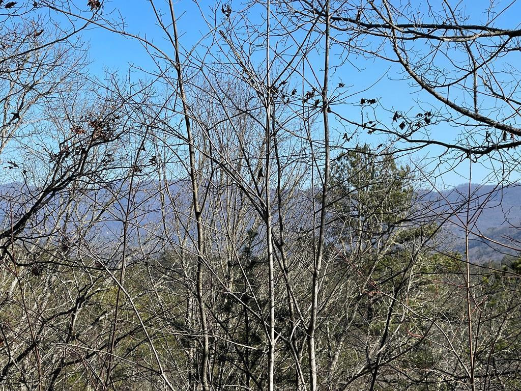 000 Mistletoe Ridge