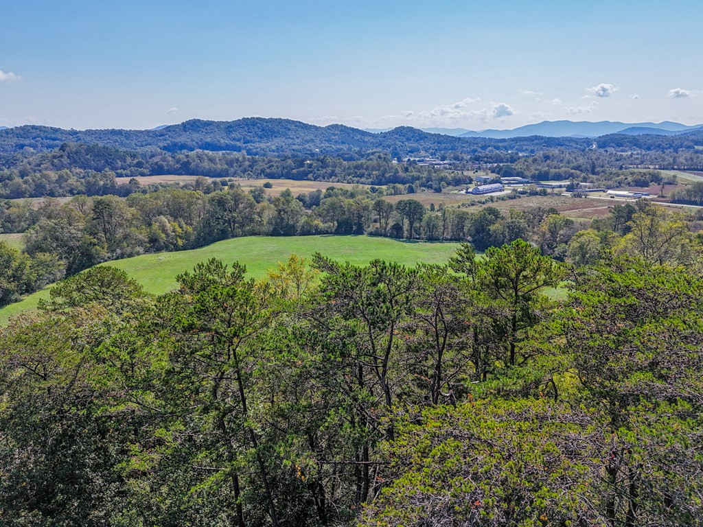 000 Mistletoe Ridge