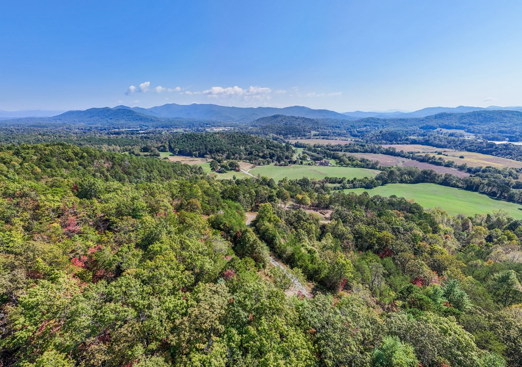 000 Mistletoe Ridge