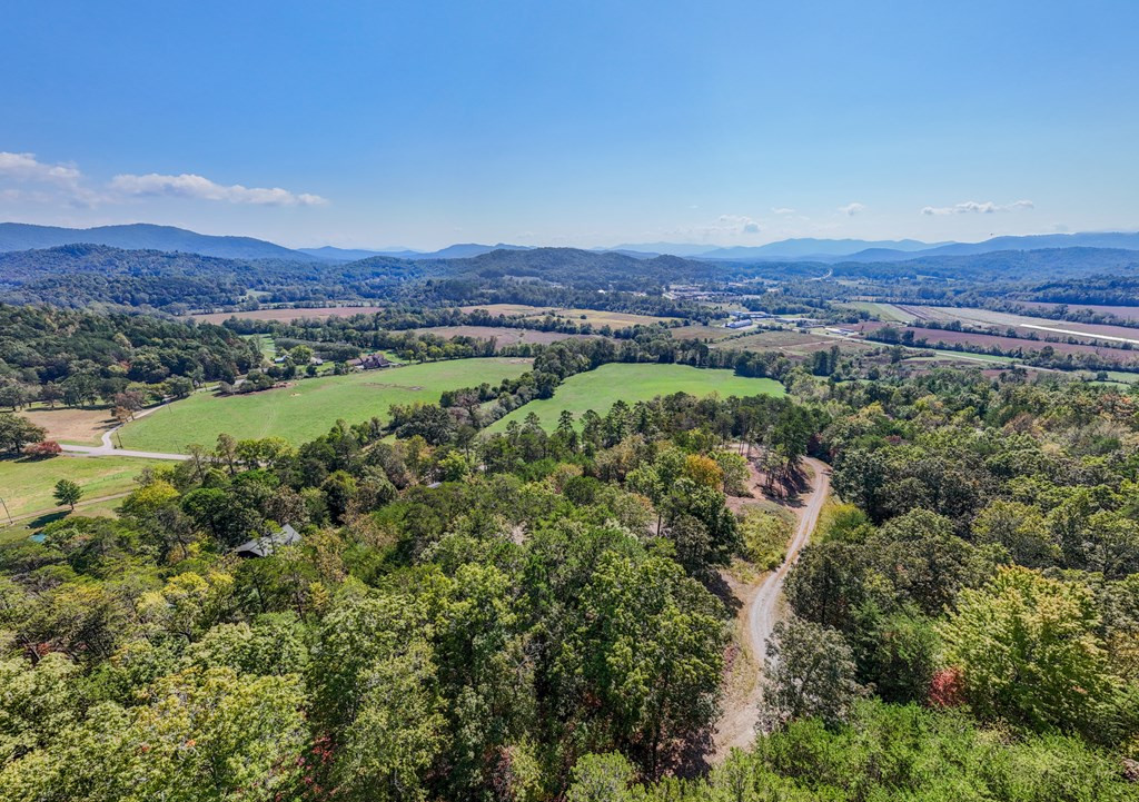 000 Mistletoe Ridge