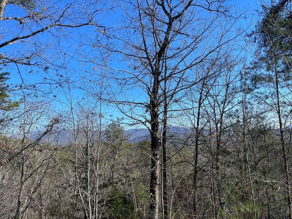 000 Mistletoe Ridge
